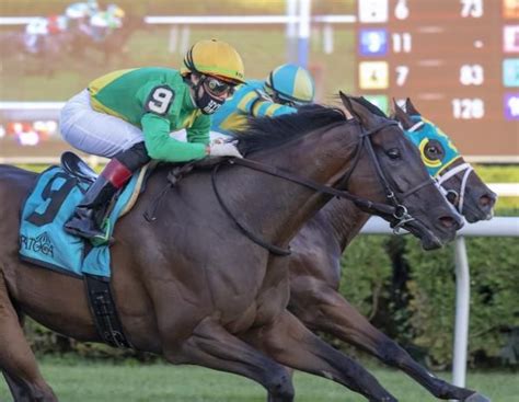 drf|Horse Racing News Daily .